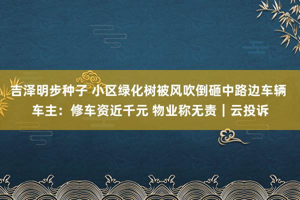 吉泽明步种子 小区绿化树被风吹倒砸中路边车辆 车主：修车资近千元 物业称无责｜云投诉