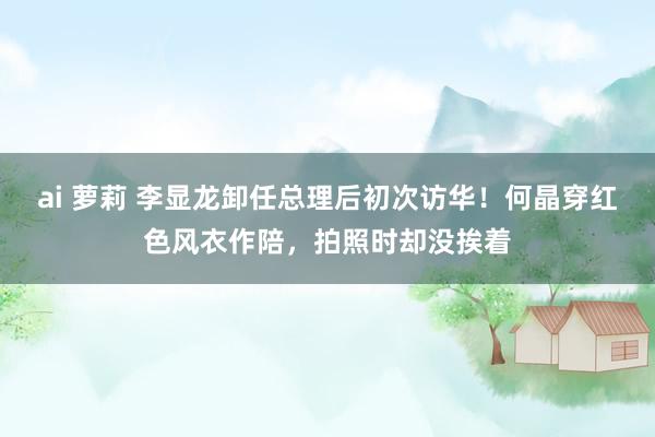 ai 萝莉 李显龙卸任总理后初次访华！何晶穿红色风衣作陪，拍照时却没挨着