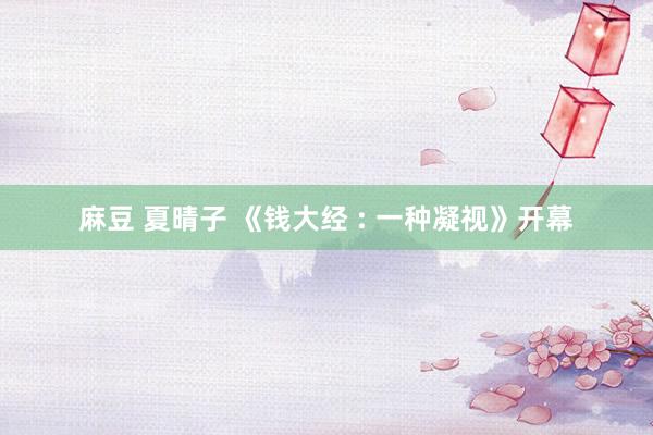 麻豆 夏晴子 《钱大经 : 一种凝视》开幕