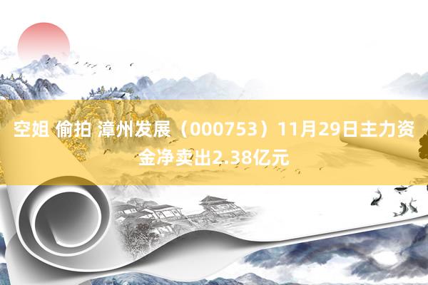 空姐 偷拍 漳州发展（000753）11月29日主力资金净卖出2.38亿元