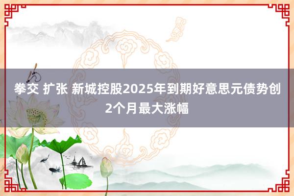 拳交 扩张 新城控股2025年到期好意思元债势创2个月最大涨幅