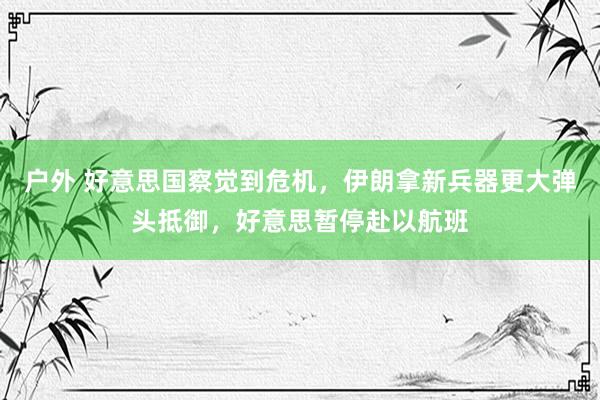 户外 好意思国察觉到危机，伊朗拿新兵器更大弹头抵御，好意思暂停赴以航班