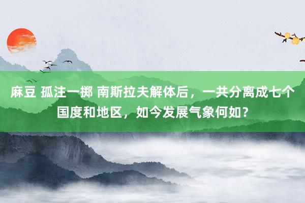 麻豆 孤注一掷 南斯拉夫解体后，一共分离成七个国度和地区，如今发展气象何如？