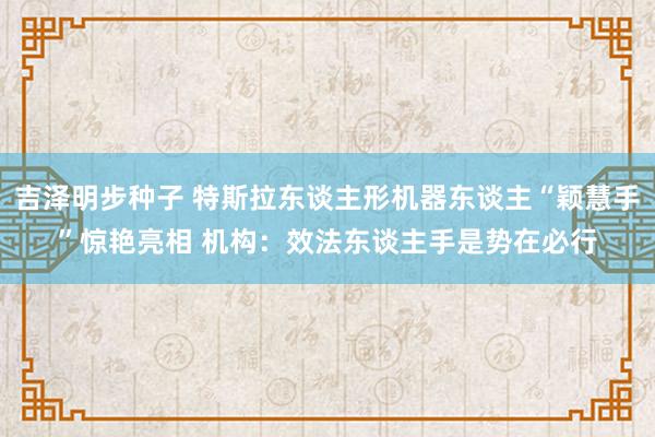 吉泽明步种子 特斯拉东谈主形机器东谈主“颖慧手”惊艳亮相 机构：效法东谈主手是势在必行