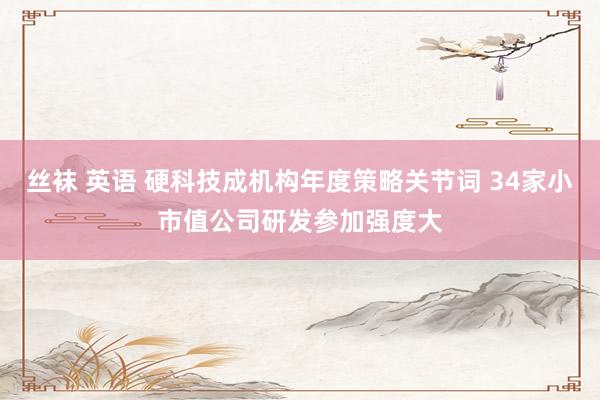 丝袜 英语 硬科技成机构年度策略关节词 34家小市值公司研发参加强度大