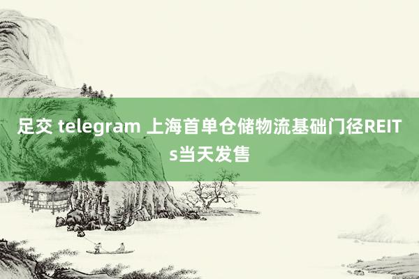 足交 telegram 上海首单仓储物流基础门径REITs当天发售