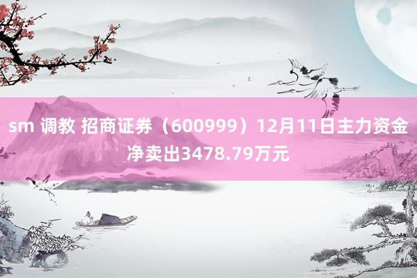 sm 调教 招商证券（600999）12月11日主力资金净卖出3478.79万元