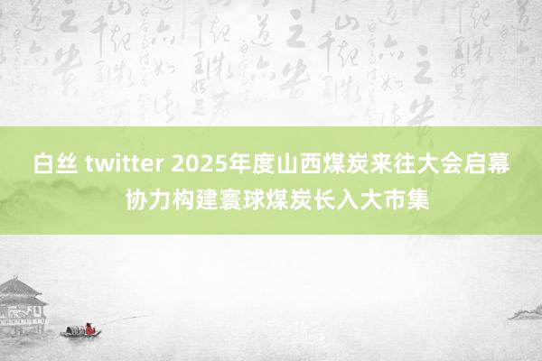 白丝 twitter 2025年度山西煤炭来往大会启幕  协力构建寰球煤炭长入大市集