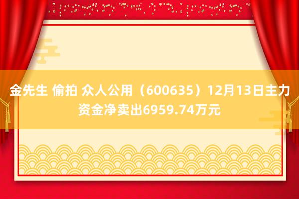 金先生 偷拍 众人公用（600635）12月13日主力资金净卖出6959.74万元