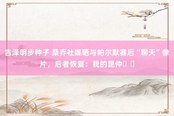 吉泽明步种子 桑乔社媒晒与帕尔默赛后“聊天”像片，后者恢复：我的昆仲♥️