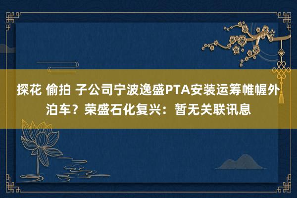 探花 偷拍 子公司宁波逸盛PTA安装运筹帷幄外泊车？荣盛石化复兴：暂无关联讯息