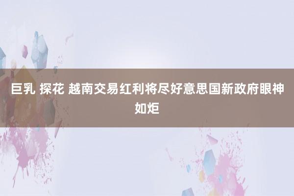 巨乳 探花 越南交易红利将尽好意思国新政府眼神如炬
