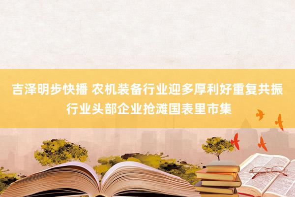 吉泽明步快播 农机装备行业迎多厚利好重复共振 行业头部企业抢滩国表里市集
