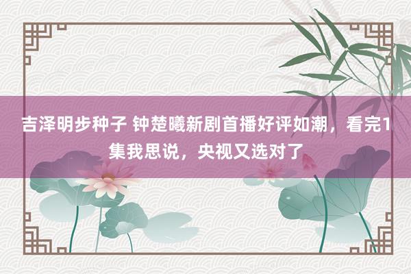 吉泽明步种子 钟楚曦新剧首播好评如潮，看完1集我思说，央视又选对了