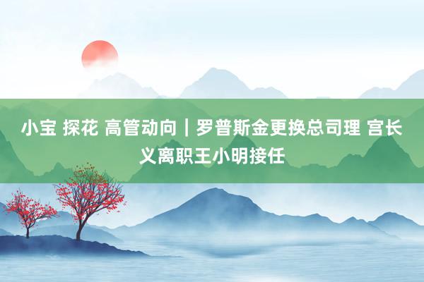 小宝 探花 高管动向｜罗普斯金更换总司理 宫长义离职王小明接任