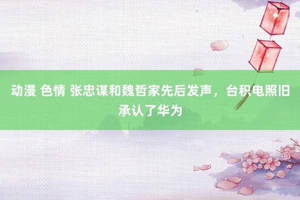 动漫 色情 张忠谋和魏哲家先后发声，台积电照旧承认了华为