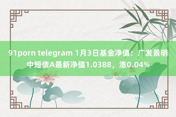 91porn telegram 1月3日基金净值：广发景明中短债A最新净值1.0388，涨0.04%