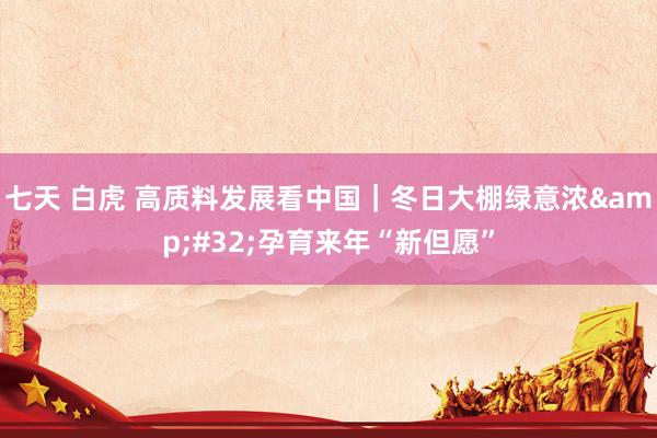 七天 白虎 高质料发展看中国｜冬日大棚绿意浓&#32;孕育来年“新但愿”