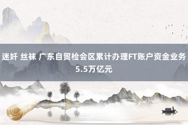 迷奸 丝袜 广东自贸检会区累计办理FT账户资金业务5.5万亿元