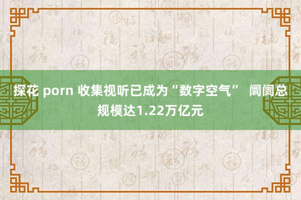 探花 porn 收集视听已成为“数字空气”  阛阓总规模达1.22万亿元