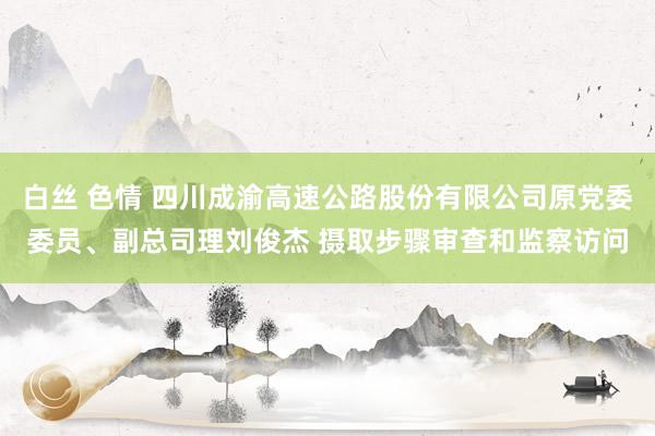 白丝 色情 四川成渝高速公路股份有限公司原党委委员、副总司理刘俊杰 摄取步骤审查和监察访问