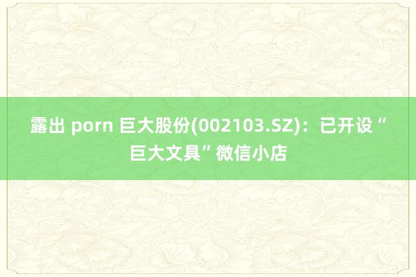 露出 porn 巨大股份(002103.SZ)：已开设“巨大文具”微信小店