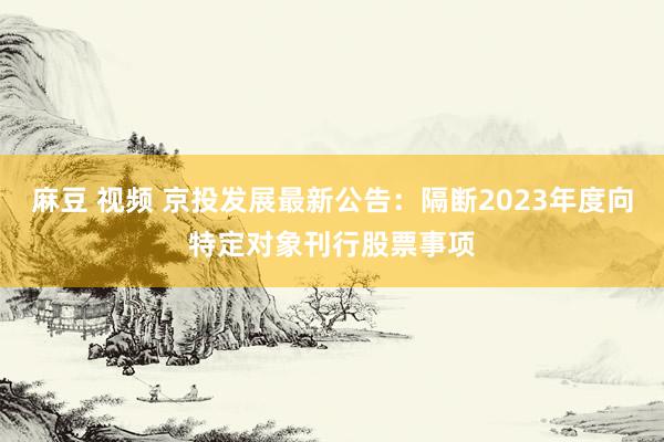 麻豆 视频 京投发展最新公告：隔断2023年度向特定对象刊行股票事项