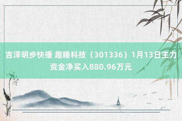 吉泽明步快播 趣睡科技（301336）1月13日主力资金净买入880.96万元