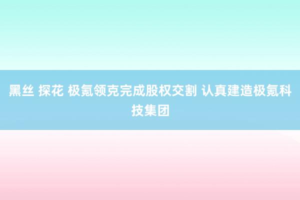 黑丝 探花 极氪领克完成股权交割 认真建造极氪科技集团