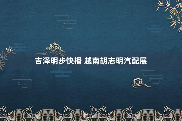 吉泽明步快播 越南胡志明汽配展