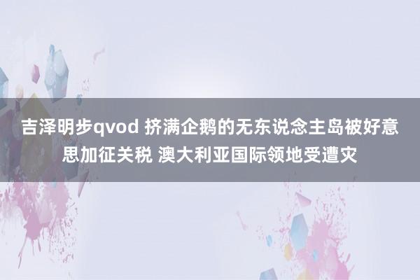 吉泽明步qvod 挤满企鹅的无东说念主岛被好意思加征关税 澳大利亚国际领地受遭灾