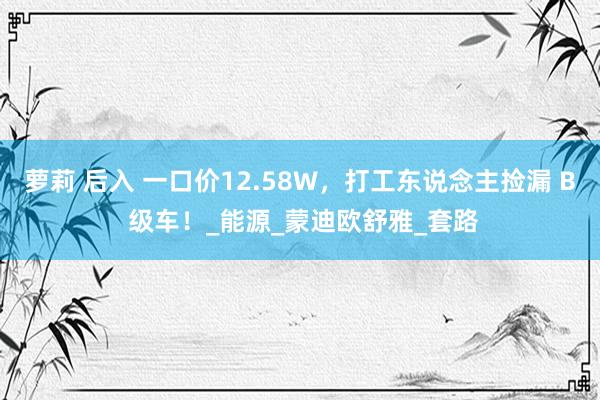 萝莉 后入 一口价12.58W，打工东说念主捡漏 B 级车！_能源_蒙迪欧舒雅_套路