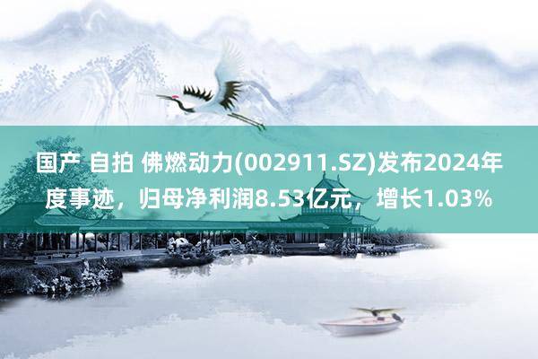 国产 自拍 佛燃动力(002911.SZ)发布2024年度事迹，归母净利润8.53亿元，增长1.03%