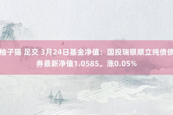 柚子猫 足交 3月24日基金净值：国投瑞银顺立纯债债券最新净值1.0585，涨0.05%