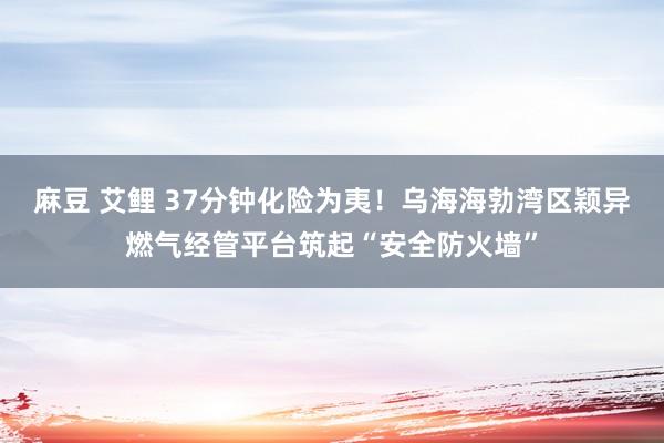 麻豆 艾鲤 37分钟化险为夷！乌海海勃湾区颖异燃气经管平台筑起“安全防火墙”