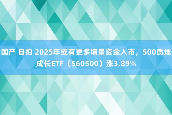 国产 自拍 2025年或有更多增量资金入市，500质地成长ETF（560500）涨3.89%