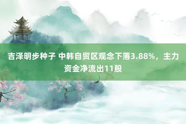 吉泽明步种子 中韩自贸区观念下落3.88%，主力资金净流出11股