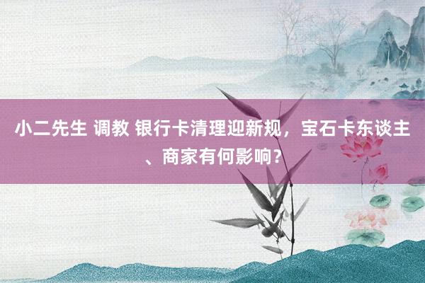 小二先生 调教 银行卡清理迎新规，宝石卡东谈主、商家有何影响？