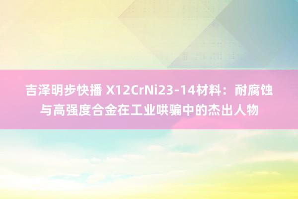 吉泽明步快播 X12CrNi23-14材料：耐腐蚀与高强度合金在工业哄骗中的杰出人物